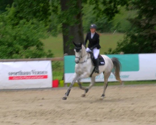 Reitturnier Alvern 2025