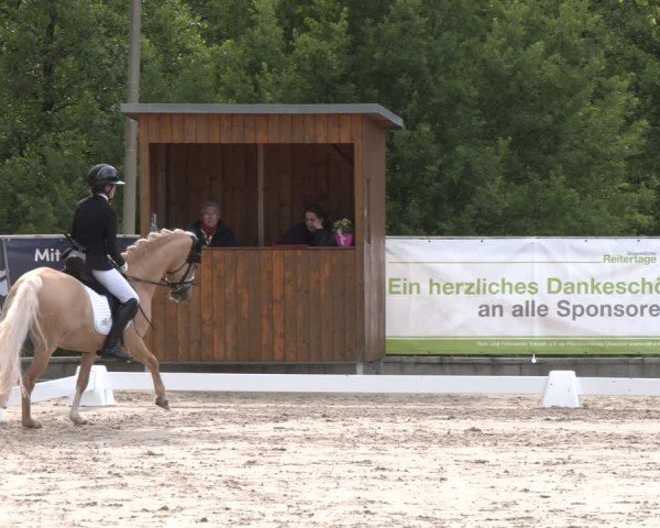 Reitturnier Erkrath - Uhlenhof 2025