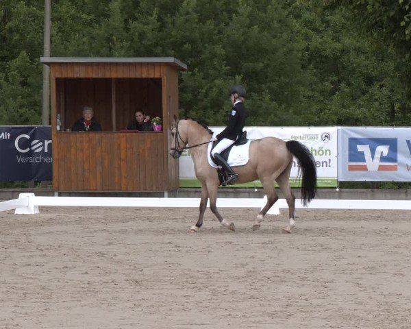 Reitturnier Erkrath - Uhlenhof 2025