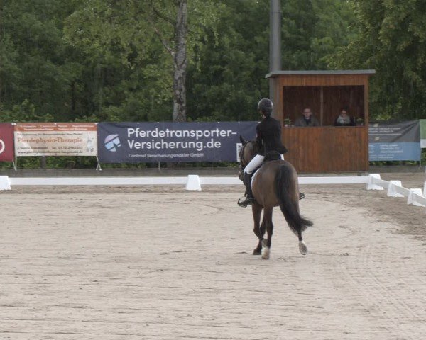 Reitturnier Erkrath - Uhlenhof 2025