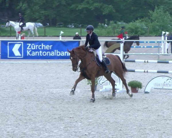Reitturnier Meilen 2025