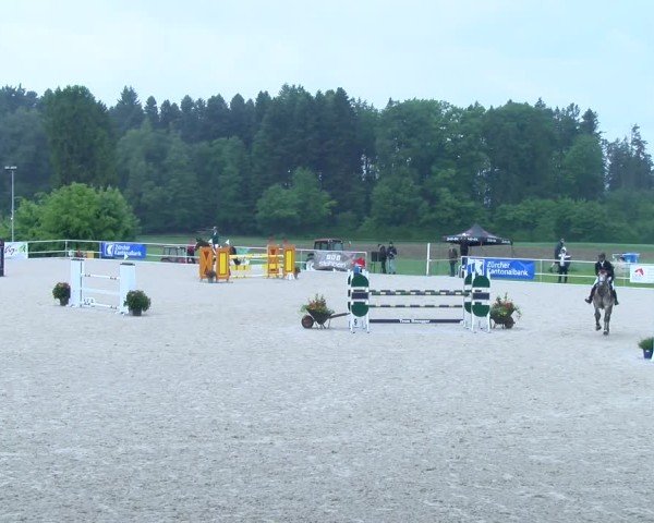 Reitturnier Meilen 2025