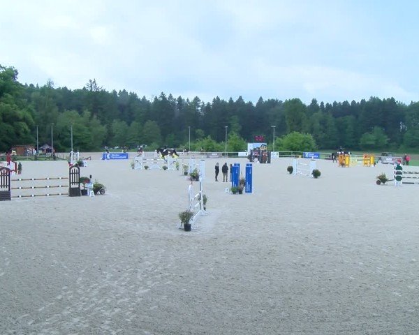 Reitturnier Meilen 2025