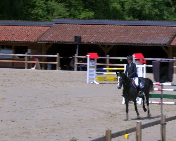 Reitturnier Alvern 2025
