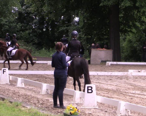 Reitturnier Königsborn 2025