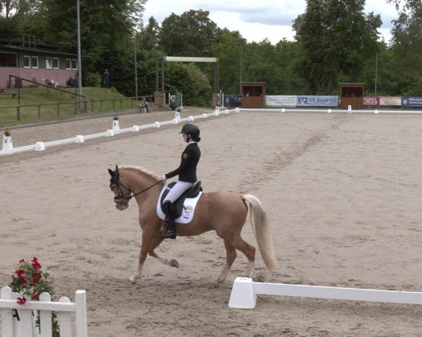Reitturnier Erkrath - Uhlenhof 2025