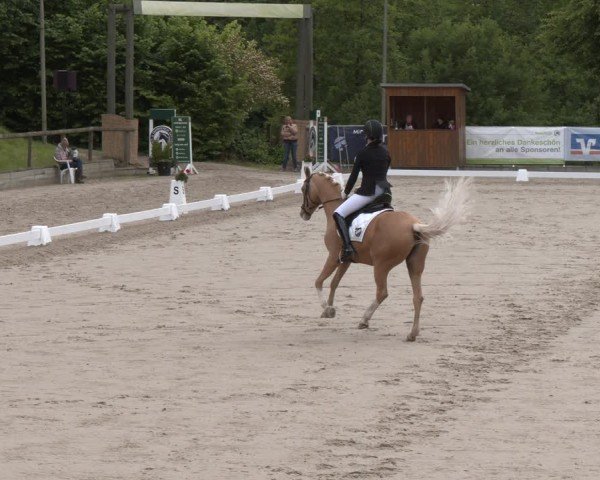 Reitturnier Erkrath - Uhlenhof 2025