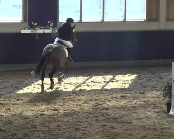 Hallenspringturnier Weilheim/Teck 2014