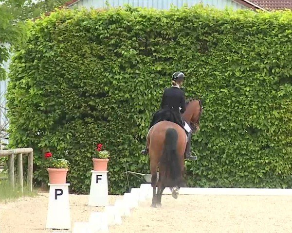 Reitturnier Notzing/Obb. 2025