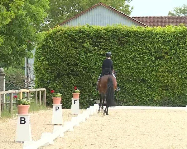 Reitturnier Notzing/Obb. 2025