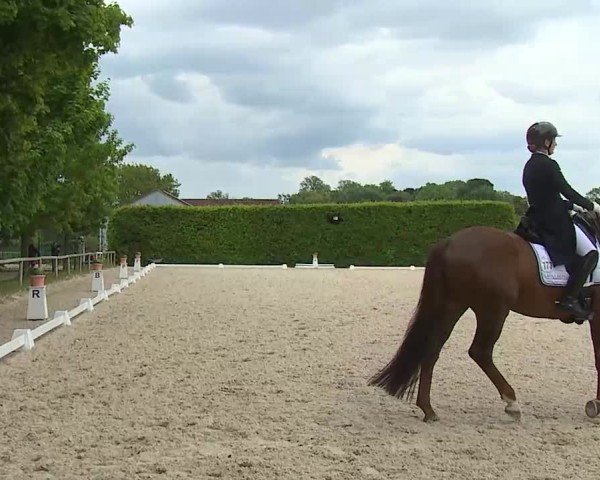 Reitturnier Notzing/Obb. 2025