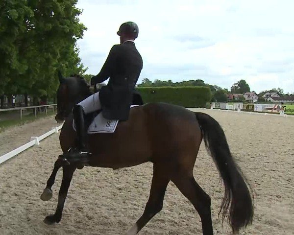Reitturnier Notzing/Obb. 2025