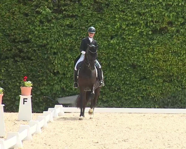 Reitturnier Notzing/Obb. 2025
