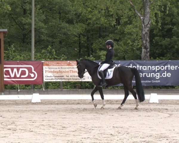 Reitturnier Erkrath - Uhlenhof 2025