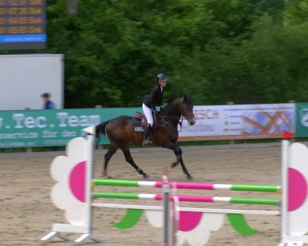 Reitturnier Alvern 2025