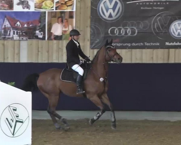 Hallenspringturnier Weilheim/Teck 2014