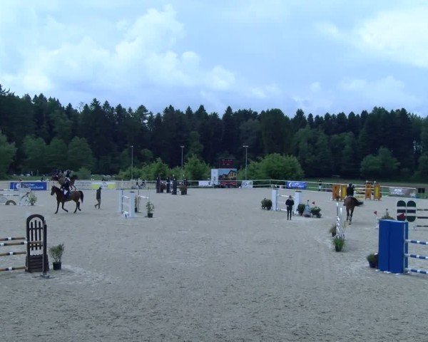 Reitturnier Meilen 2025