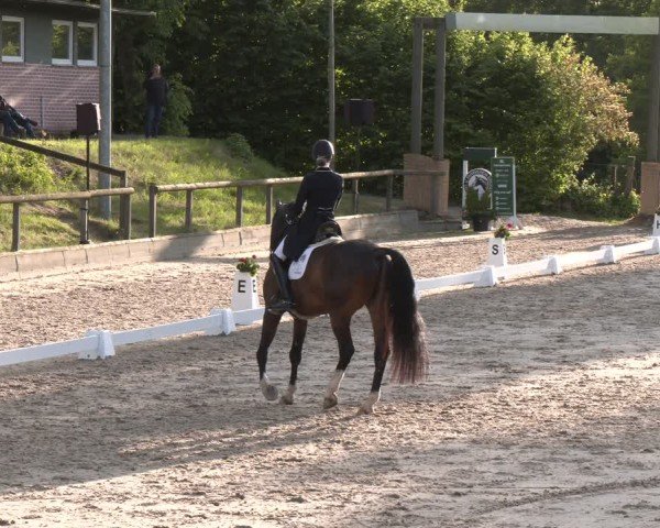 Reitturnier Erkrath - Uhlenhof 2025