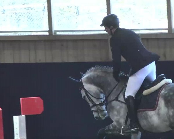 Hallenspringturnier Weilheim/Teck 2014