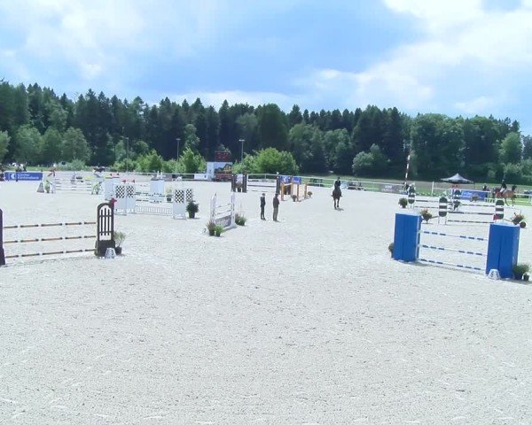 Reitturnier Meilen 2025