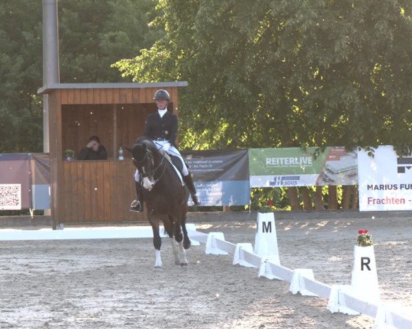 Reitturnier Erkrath - Uhlenhof 2025