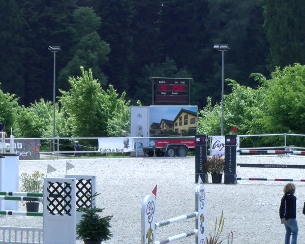 Reitturnier Meilen 2025