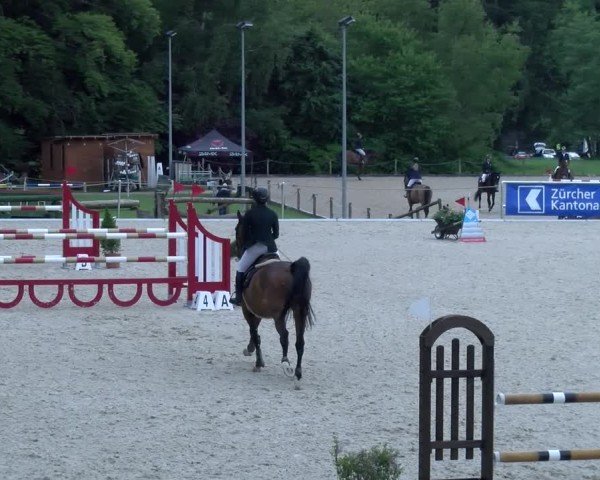 Reitturnier Meilen 2025