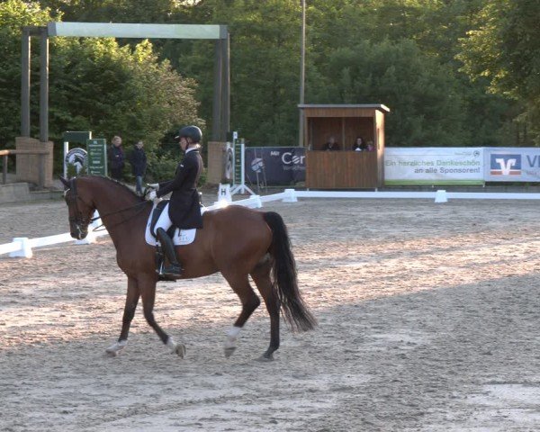 Reitturnier Erkrath - Uhlenhof 2025