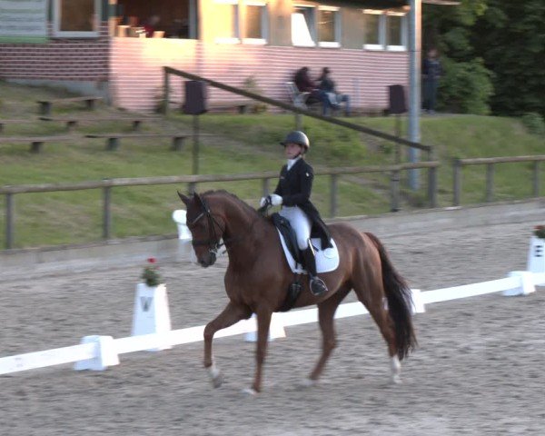 Reitturnier Erkrath - Uhlenhof 2025