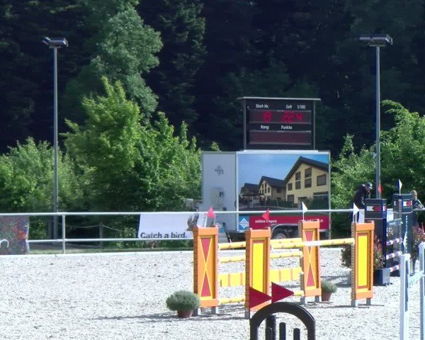 Reitturnier Meilen 2025