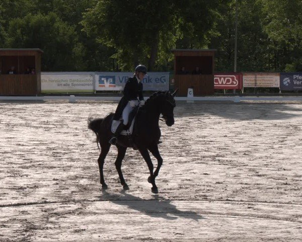 Reitturnier Erkrath - Uhlenhof 2025