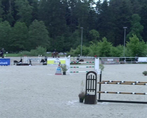 Reitturnier Meilen 2025