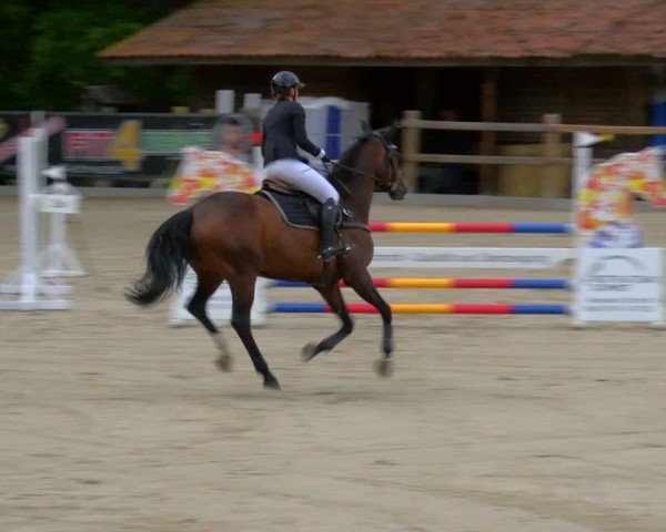 Reitturnier Alvern 2025