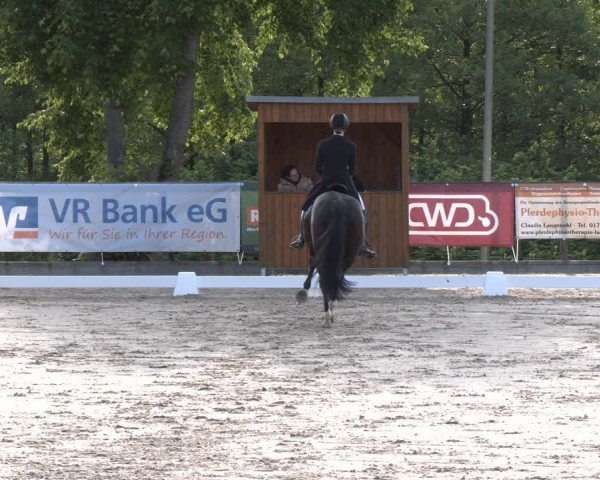Reitturnier Erkrath - Uhlenhof 2025