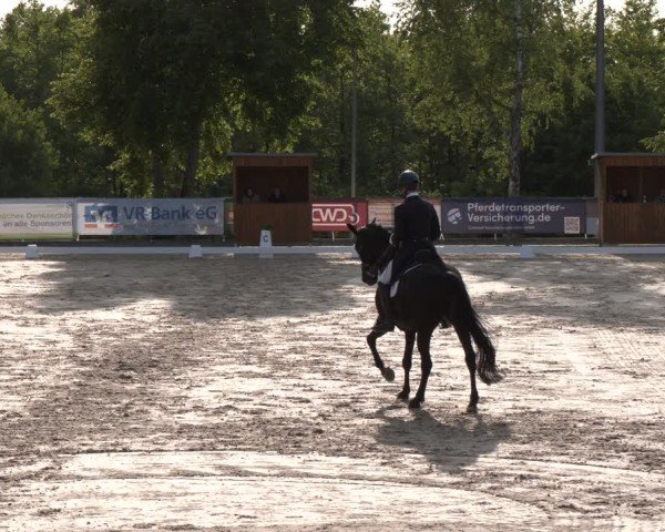 Reitturnier Erkrath - Uhlenhof 2025