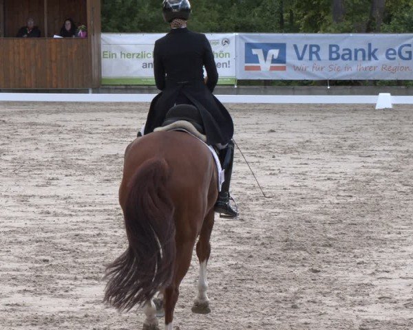 Reitturnier Erkrath - Uhlenhof 2025