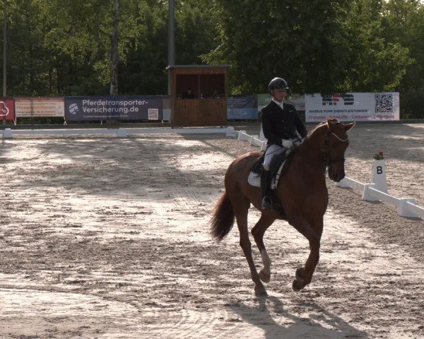 Reitturnier Erkrath - Uhlenhof 2025