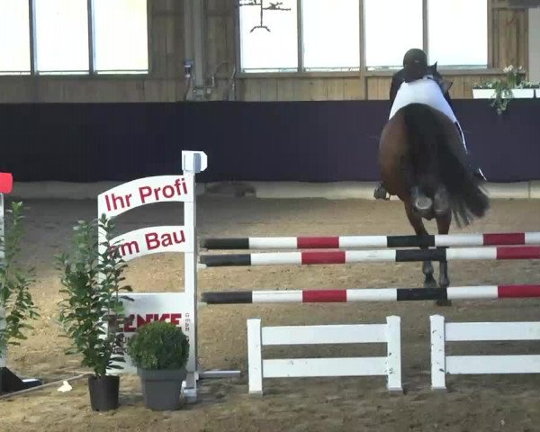 Hallenspringturnier Weilheim/Teck 2014