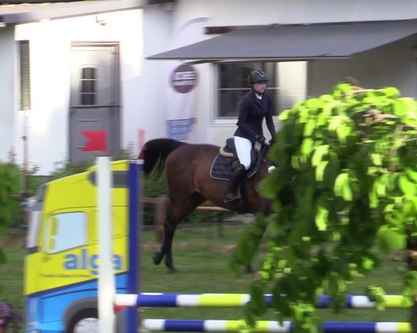 Reitturnier Zeven 2025