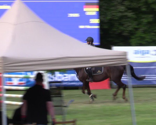 Reitturnier Zeven 2025