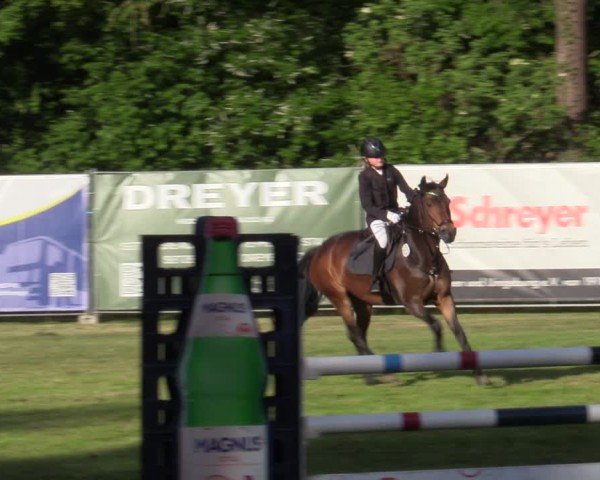 Reitturnier Zeven 2025