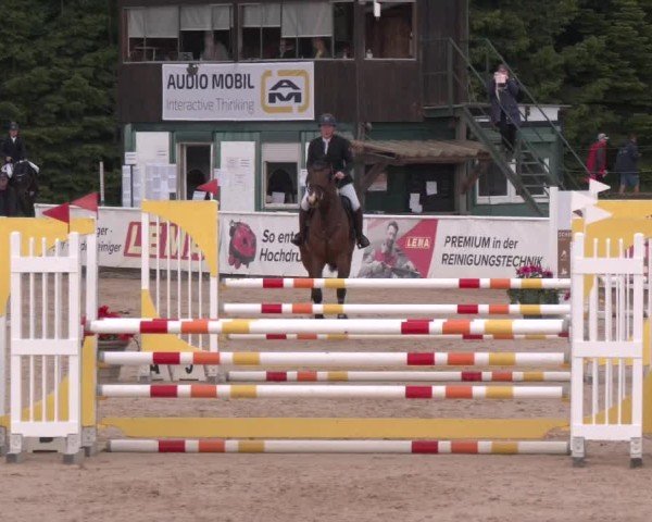 Reitturnier Ranshofen - Braunau am Inn 2025