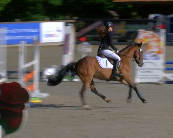 Reitturnier Alvern 2025