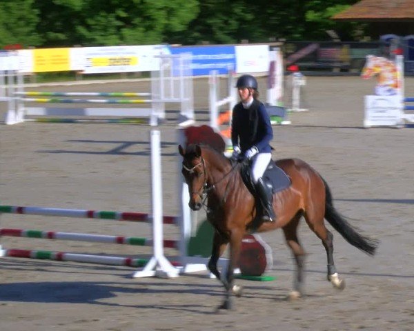Reitturnier Alvern 2025