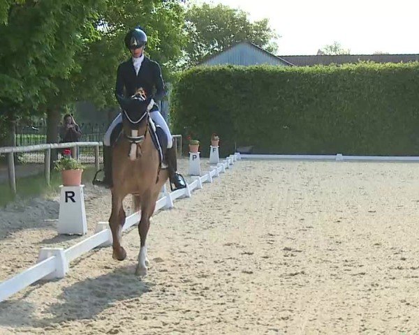 Reitturnier Notzing/Obb. 2025