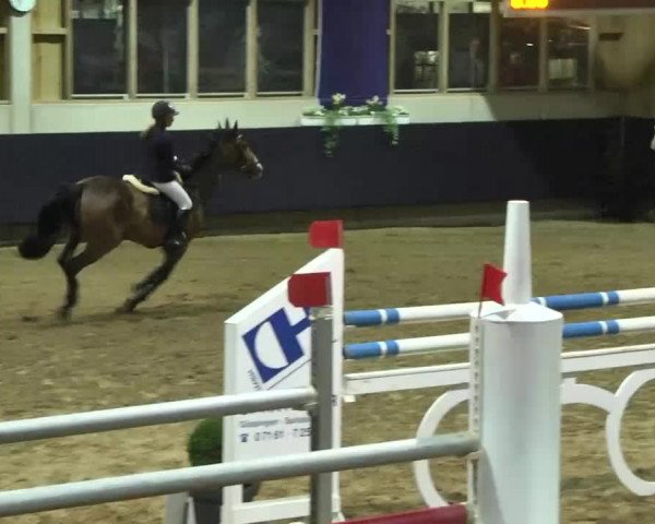 Hallenspringturnier Weilheim/Teck 2014
