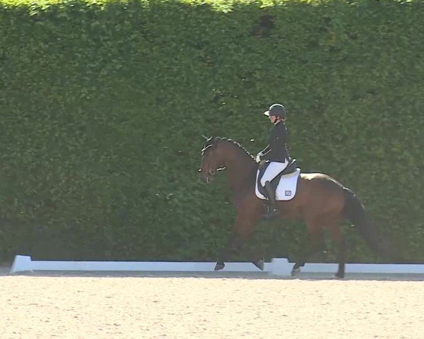 Reitturnier Notzing/Obb. 2025