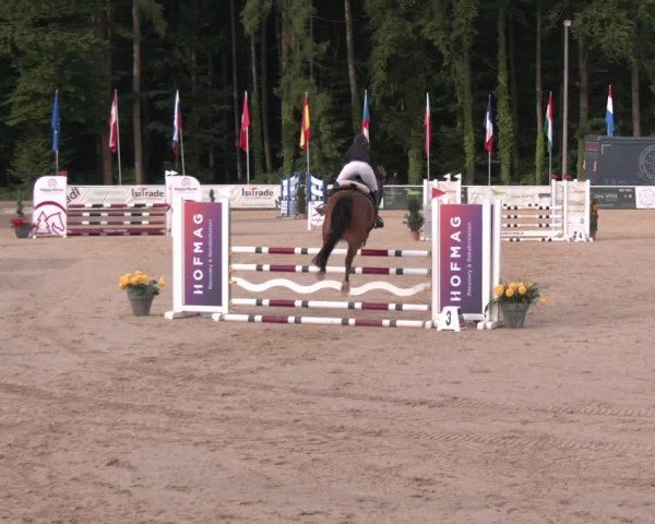 Reitturnier Ranshofen - Braunau am Inn 2025