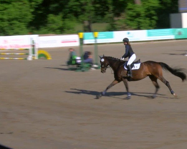 Reitturnier Alvern 2025