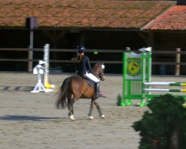 Reitturnier Alvern 2025